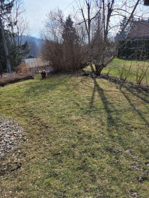Appartement Le Flocon, Joli Petit Cocon 4 Pers En Rez De Jardin Draps Inclus Les Rousses Kültér fotó